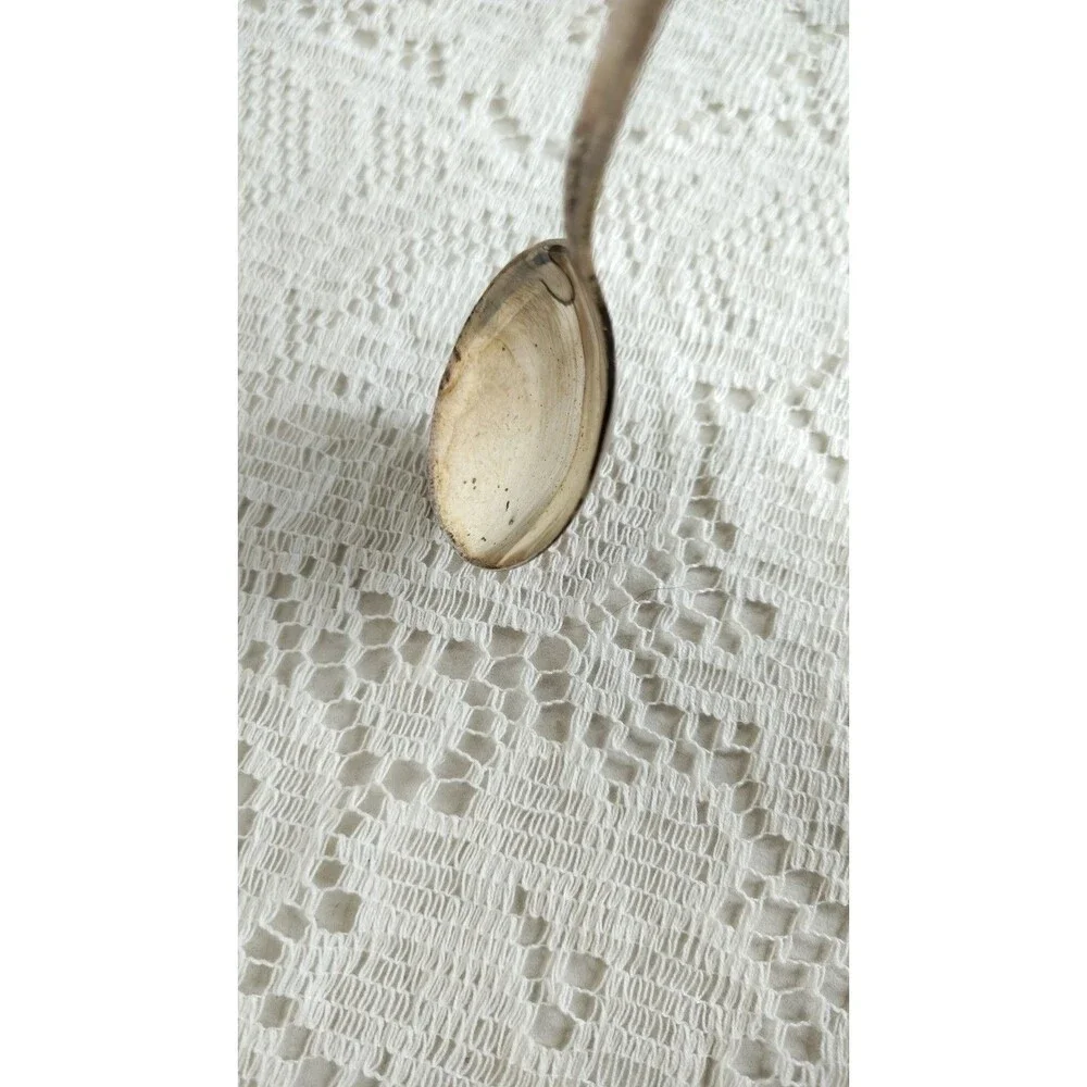 Vintage International Silver Melody 1954 Silverplate Soup Spoon Floral needs...
